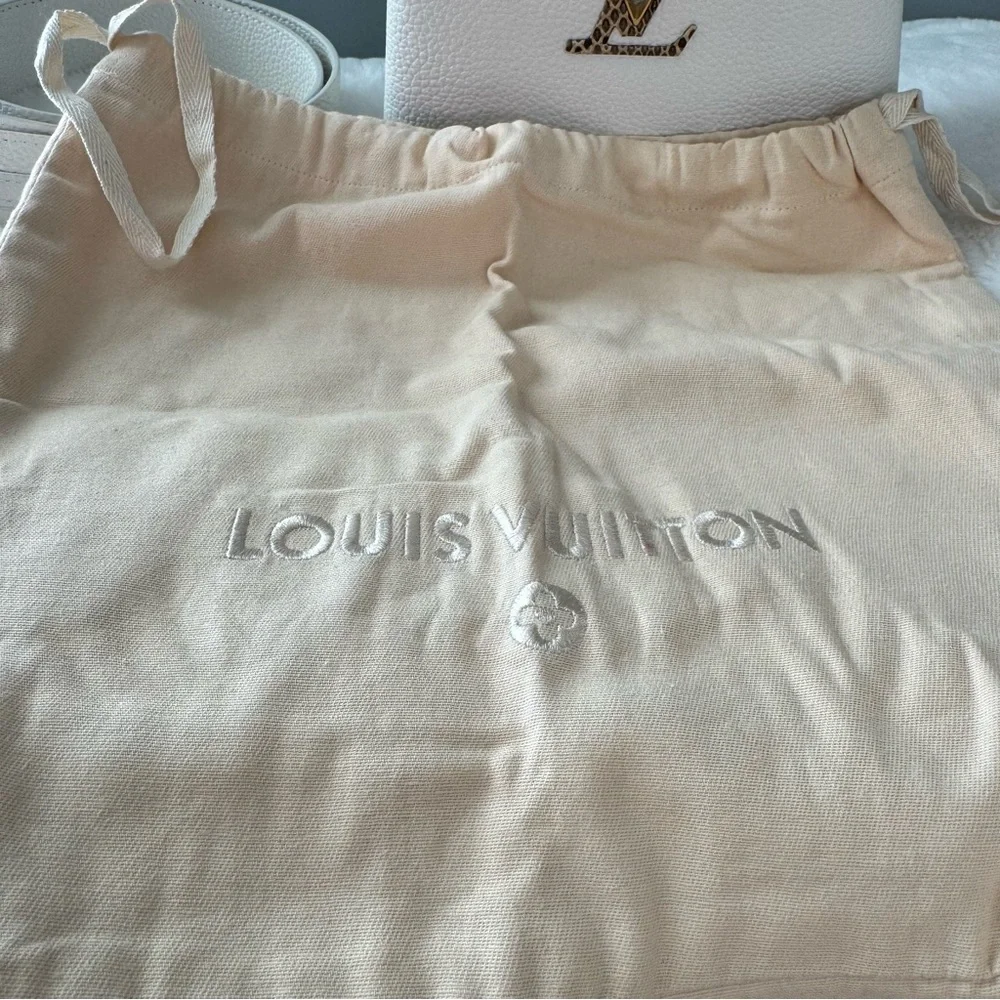 Louis Vuitton Taurillon & Python Leather Capucines Mini Handbag - Picture 16 of 16